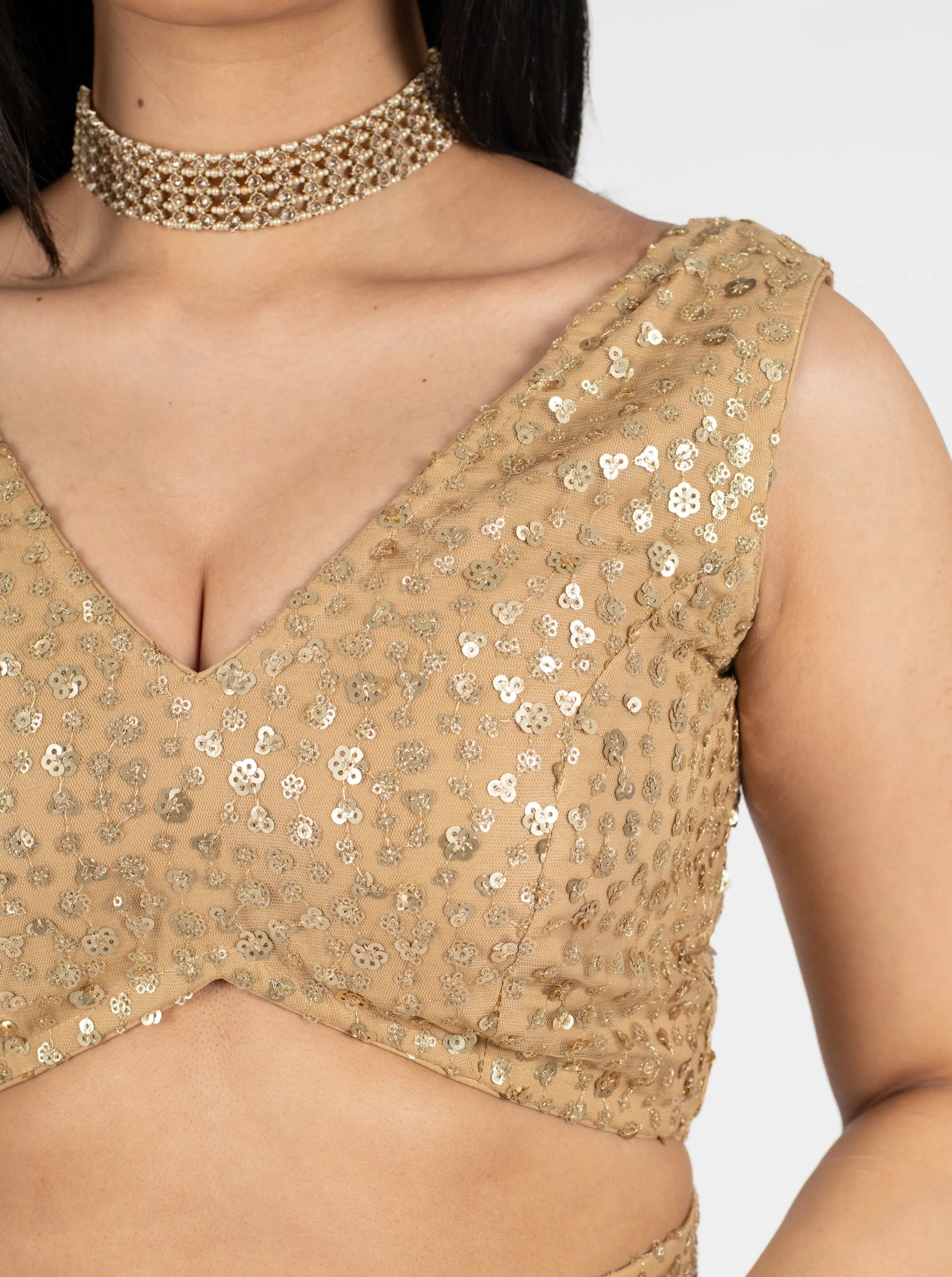 Gold Sitara Blouse